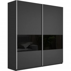 Шкаф-купе Прайм 2-х дверный 1,6 (3 секции ДСП/стекло черное)